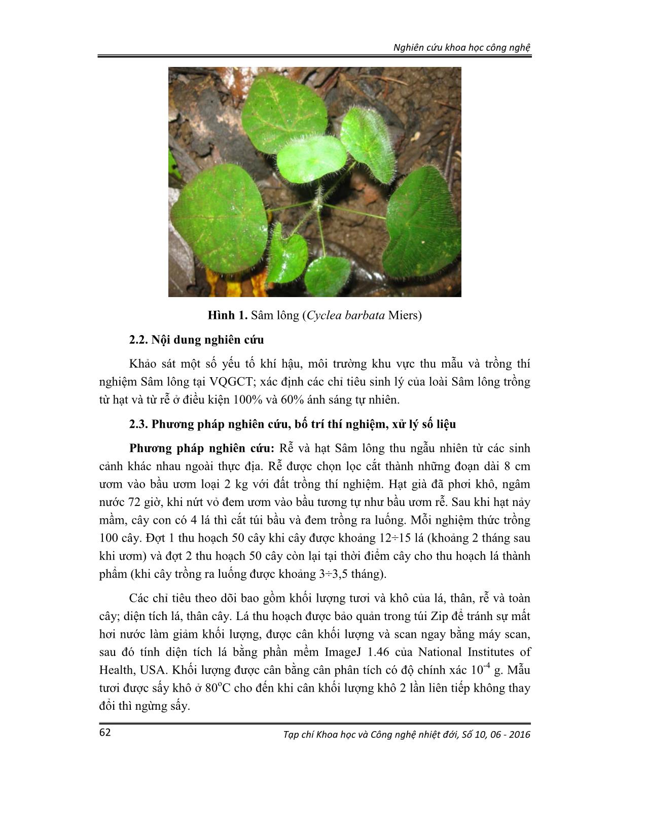 Nghiên cứu khả năng thích ứng với điều kiện ánh sáng của loài sâm lông (Cyclea barbata Miers) trồng thử nghiệm từ hạt và rễ tại Vườn quốc gia Cát Tiên trang 2