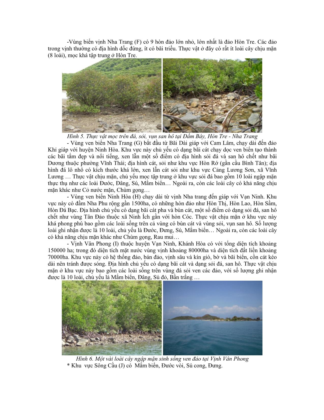 Nghiên cứu thành phần loài và phân bố cây ngập mặn làm cơ sở chọn loài cây trồng trên nền san hô ngập nước ven biển, đảo các tỉnh duyên hải Nam Trung Bộ trang 7
