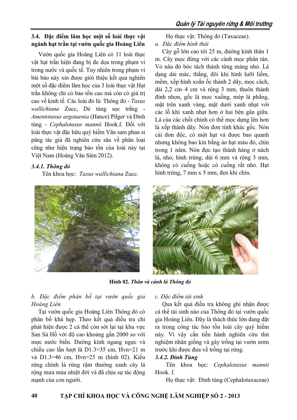 Thành phần loài và hiện trạng bảo tồn thực vật ngành hạt trần (Gymnosperm) tại Vườn quốc gia Hoàng Liên trang 5