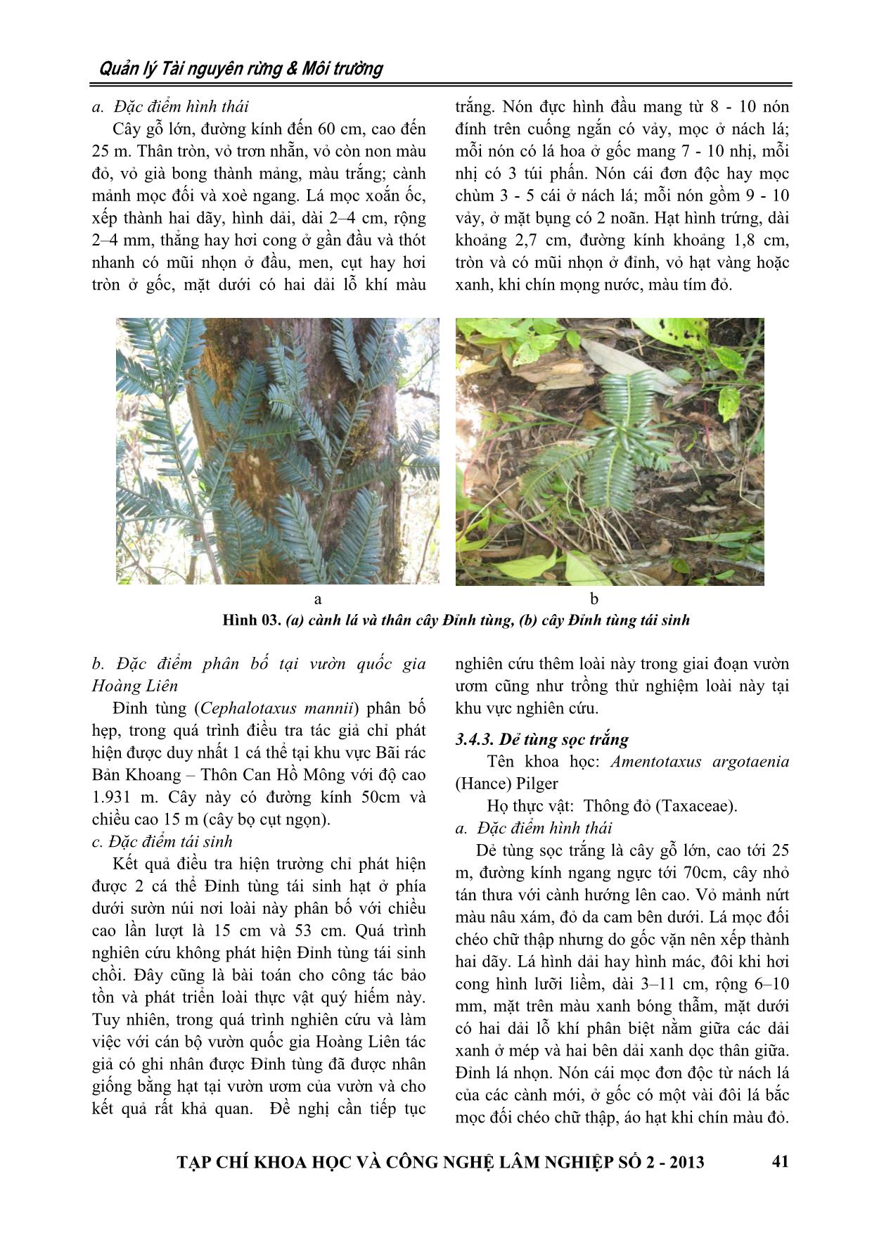 Thành phần loài và hiện trạng bảo tồn thực vật ngành hạt trần (Gymnosperm) tại Vườn quốc gia Hoàng Liên trang 6