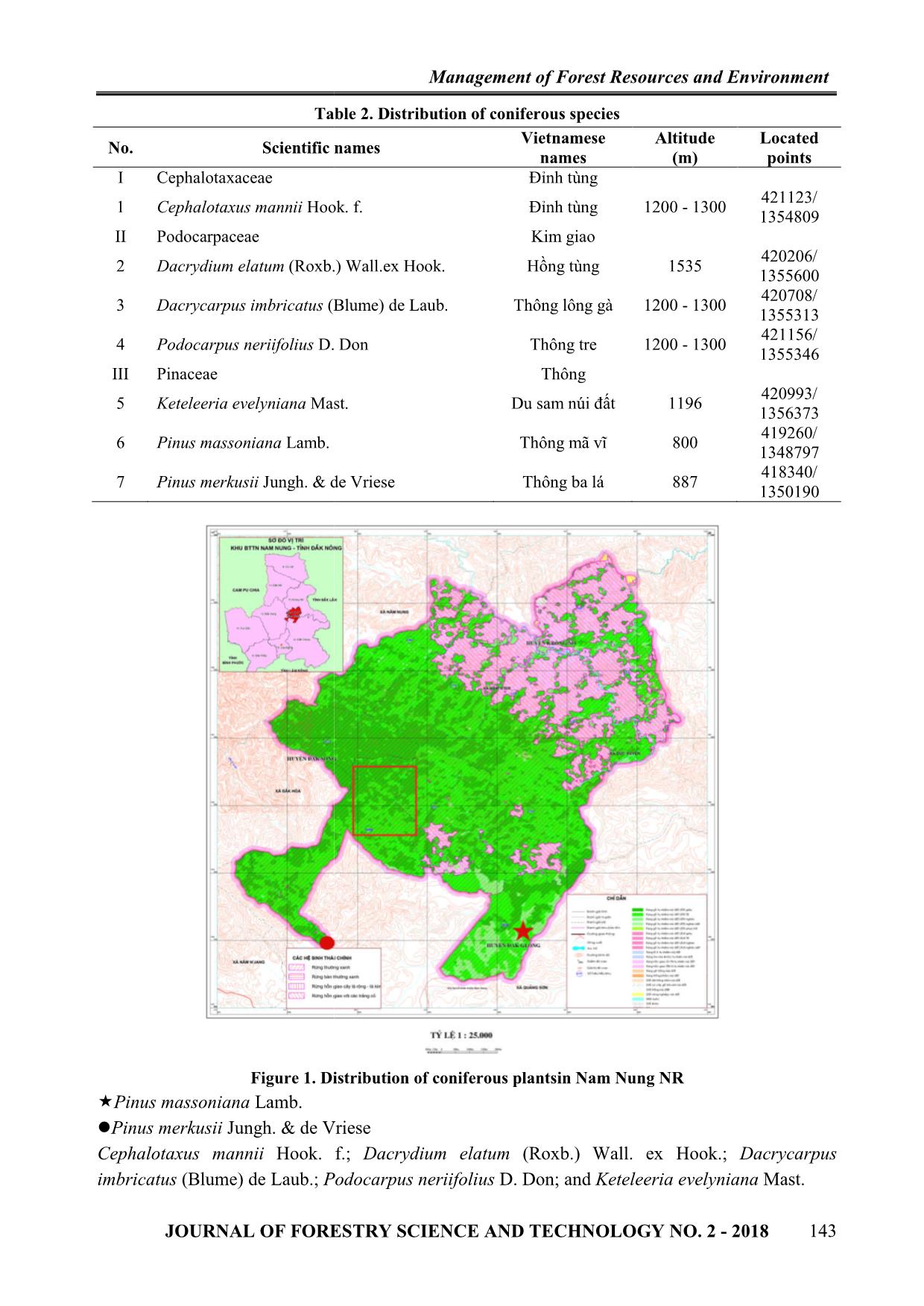 The status of coniferous plants of Nam Nung nature reserve in Dak Nong province trang 3