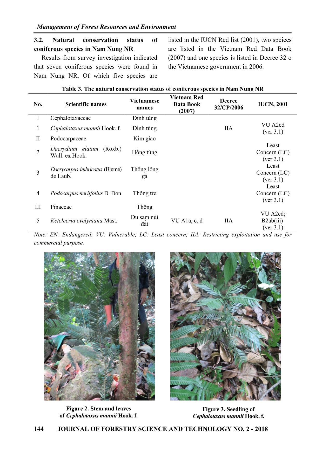 The status of coniferous plants of Nam Nung nature reserve in Dak Nong province trang 4