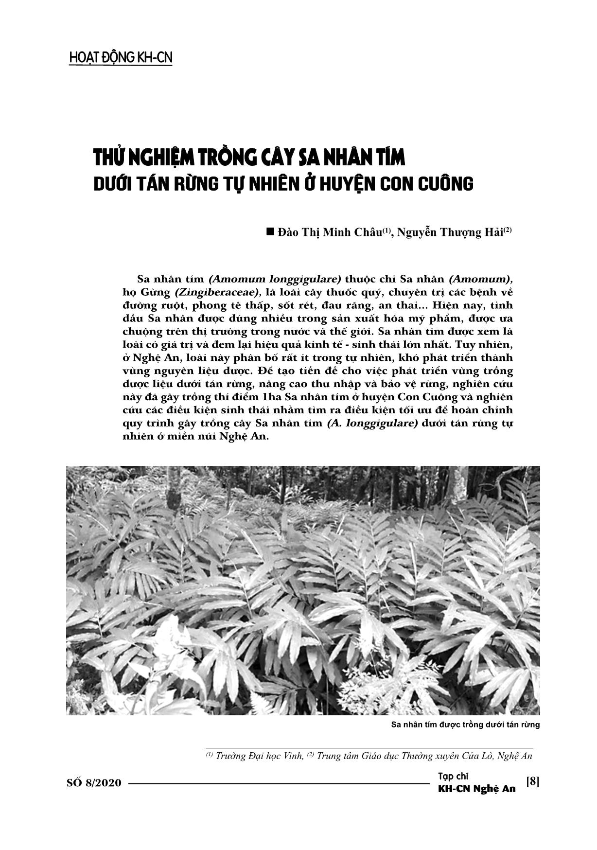 Thử nghiệm trồng cây sa nhân tím dưới tán rừng tự nhiên ở huyện Con Cuông trang 1