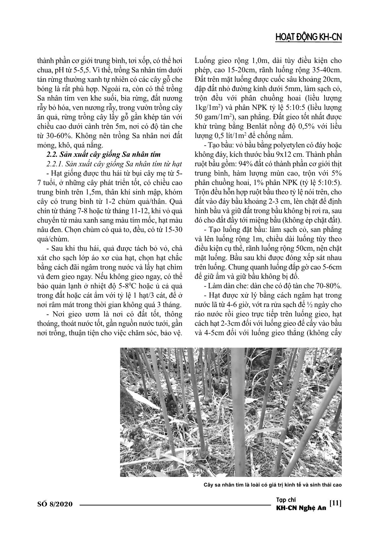 Thử nghiệm trồng cây sa nhân tím dưới tán rừng tự nhiên ở huyện Con Cuông trang 4