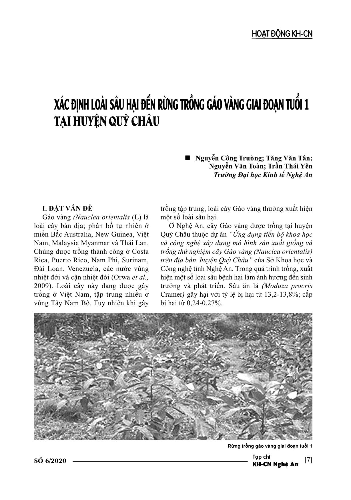 Xác định loài sâu hại đến rừng trồng gáo vàng giai đoạn tuổi 1 tại huyện Quỳ Châu trang 1
