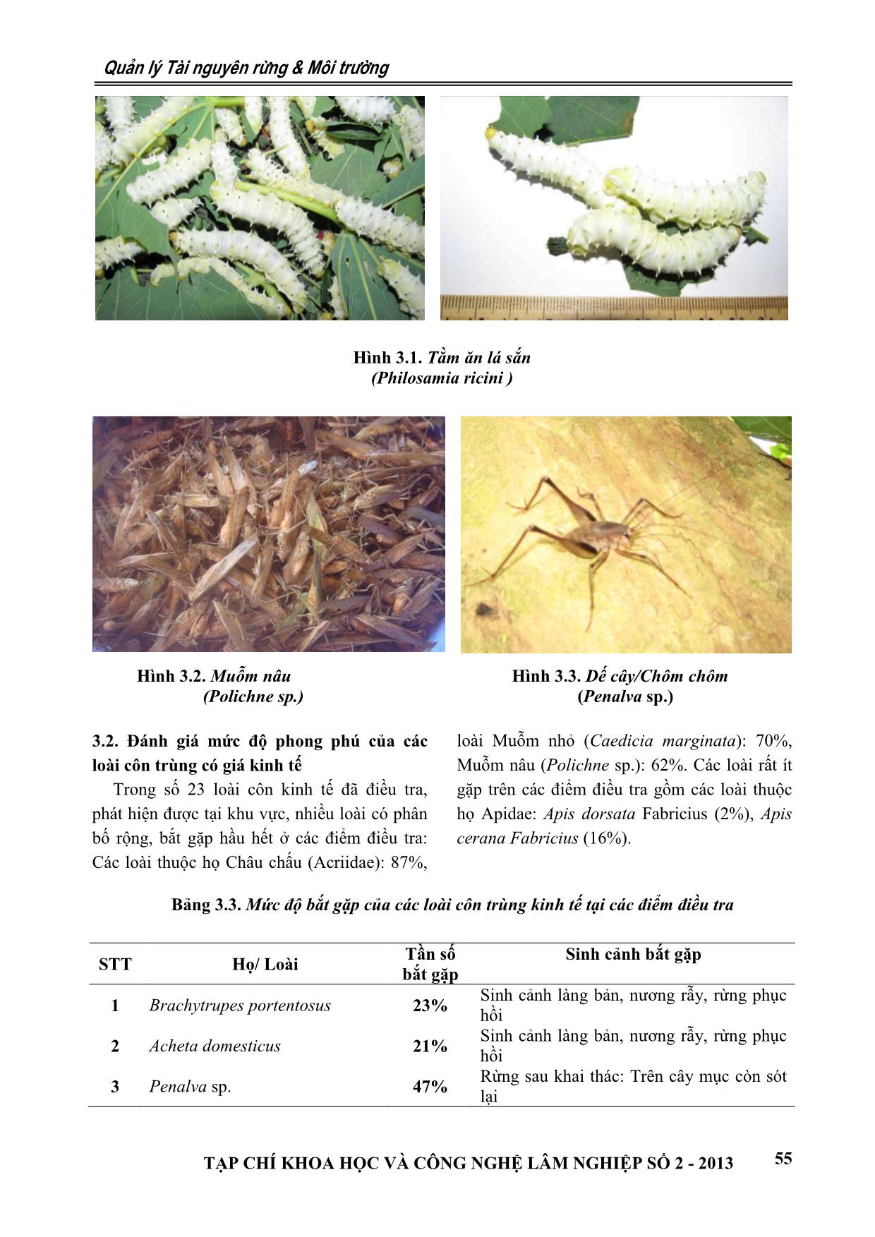 Tiềm năng côn trùng kinh tế và các giải pháp khai thác hiệu quả, bền vững tại khu bảo tồn thiên nhiên Pù Luông, Thanh Hóa trang 4