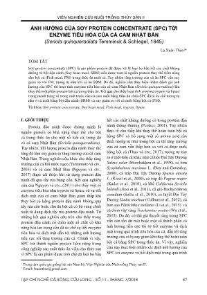 Ảnh hưởng của Soy protein concentrate (SPC) tới enzyme tiêu hóa của cá cam Nhật Bản (Seriola quinqueradiata Temminck & Schlegel, 1845)