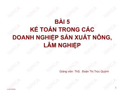 Bài giảng Kiểm toán doanh nghiệp thương mại - Bài 5: Kế toán trong các doanh nghiệp sản xuất nông, lâm nghiệp - Đoàn Thị Trúc Quỳnh