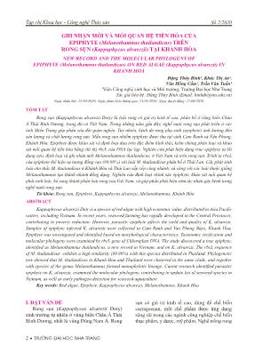 Ghi nhận mới và mối quan hệ tiến hóa của epiphyte (Melanothamnus thailandicus) trên rong sụn (Kappaphycus alvarezii) tại Khánh Hòa