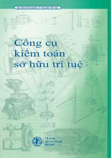 Giáo trình Công cụ kiểm toán sở hữu trí tuệ