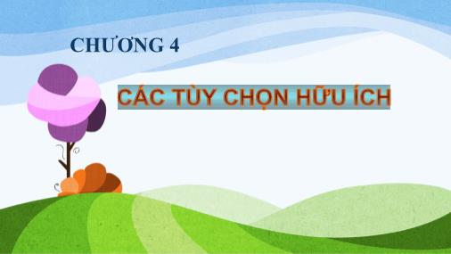 Bài giảng Tin học (Phần 2) - Chương 4: Các tùy chọn hữu ích