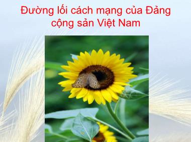 Bài giảng Đường lối cách mạng của Đảng Cộng sản Việt Nam - Chương 1: Sự ra đời của Đảng Cộng sản Việt Nam và cương lĩnh chính trị đầu tiên