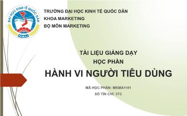 Bài giảng Hành vi người tiêu dùng - Vũ Huy Thông