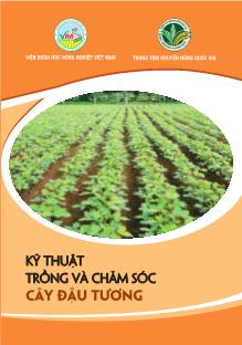 Bài giảng Kỹ thuật trồng và chăm sóc cây đậu tương