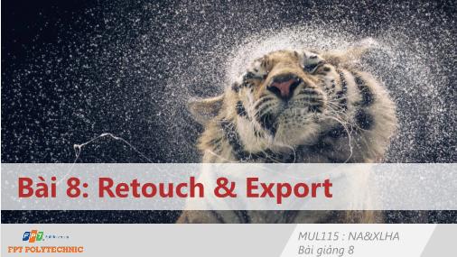 Bài giảng Nhiếp ảnh và xử lý hình ảnh - Bài 8: Retouch & Export