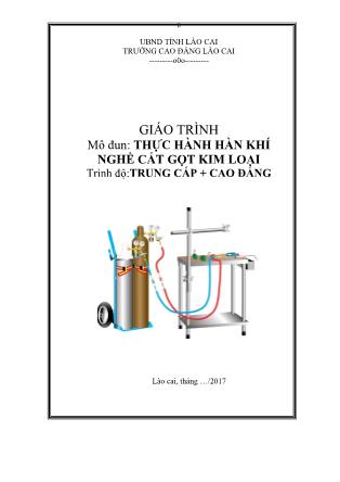 Giáo trình mô đun Thực hành hàn khí