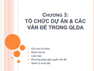 Bài giảng Quản lý dự án - Chương 3: Tổ chức dự án & các vấn đề trong quản lý dự án - Nguyễn Thị Trang