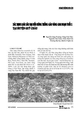 Xác định loài sâu hại đến rừng trồng gáo vàng giai đoạn tuổi 1 tại huyện Quỳ Châu